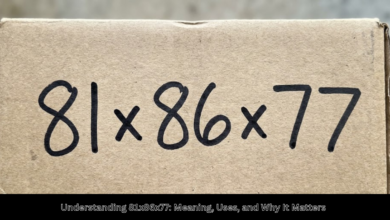 81x86x77
