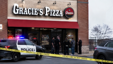 gracie pizza lancaster fight